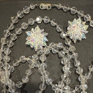 Venetian Crystal Necklace and Earring Set